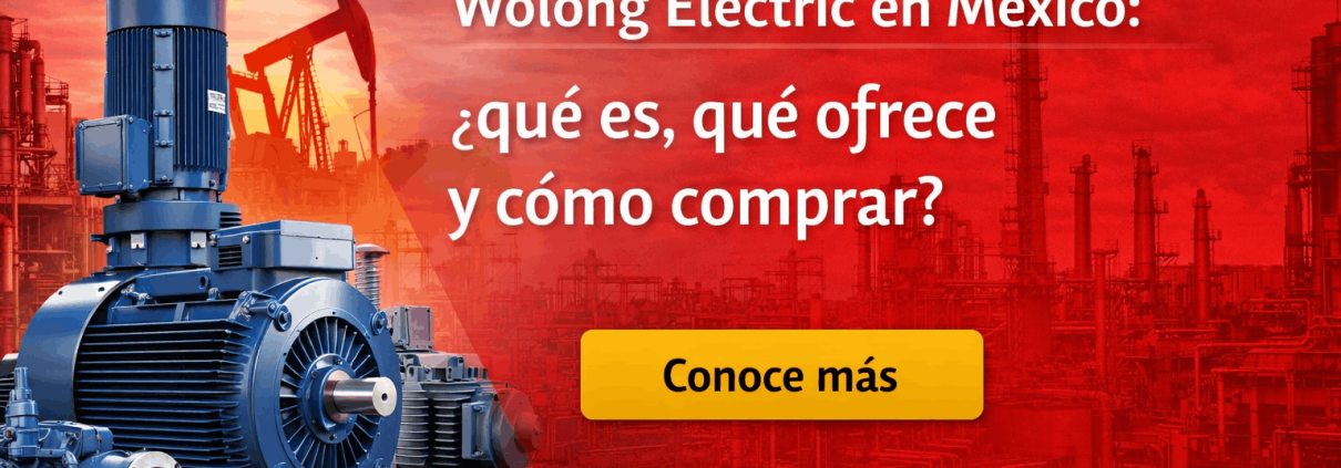 wolong-electric